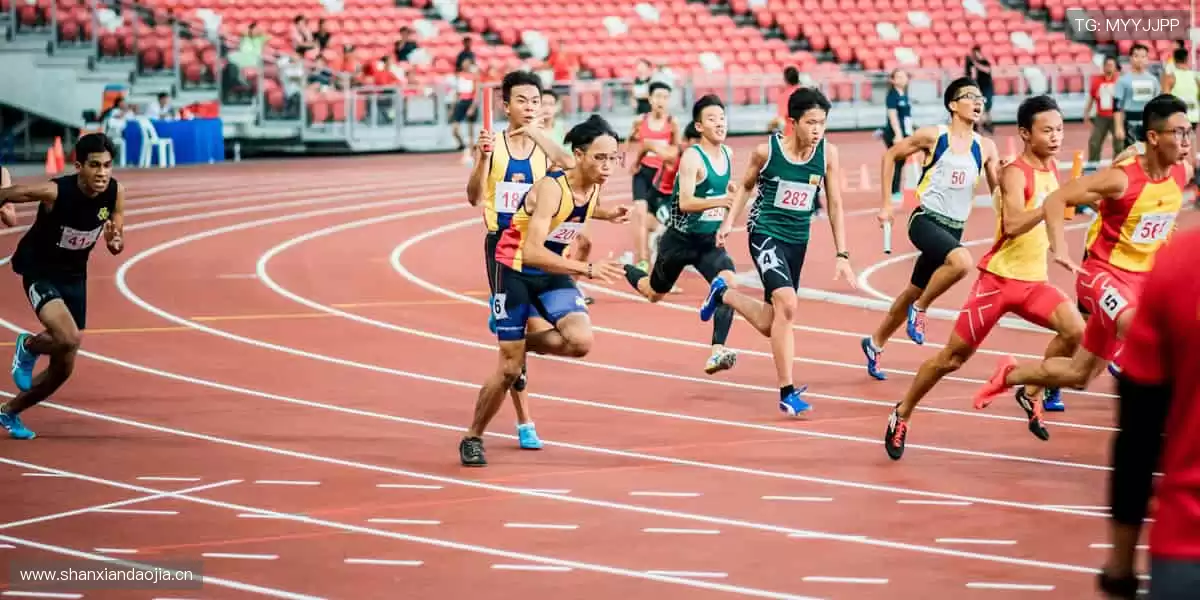 🚀 突破极限,超越自我,官网与你共赴体育新征程!